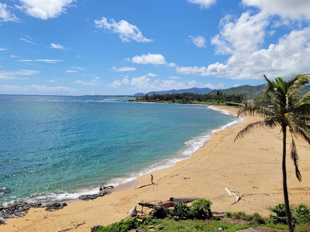 Wailua Bay View 306