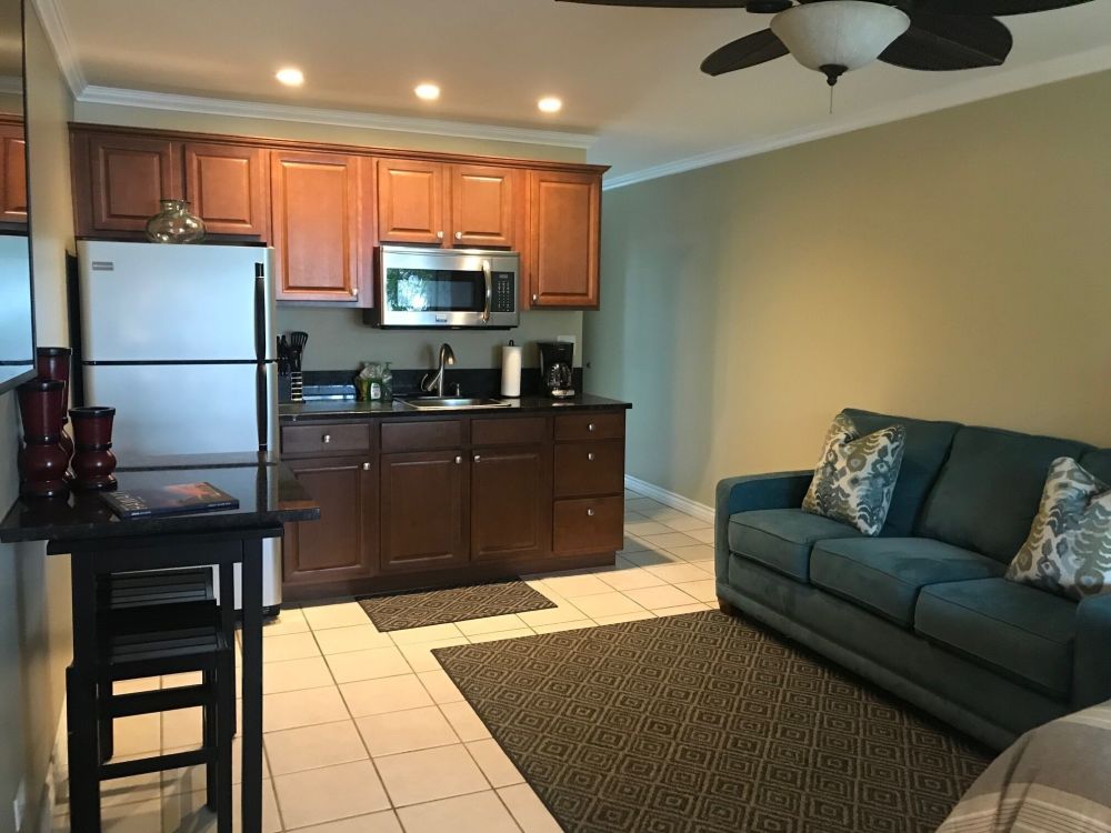 The Palm 3rd Floor Studio Condo