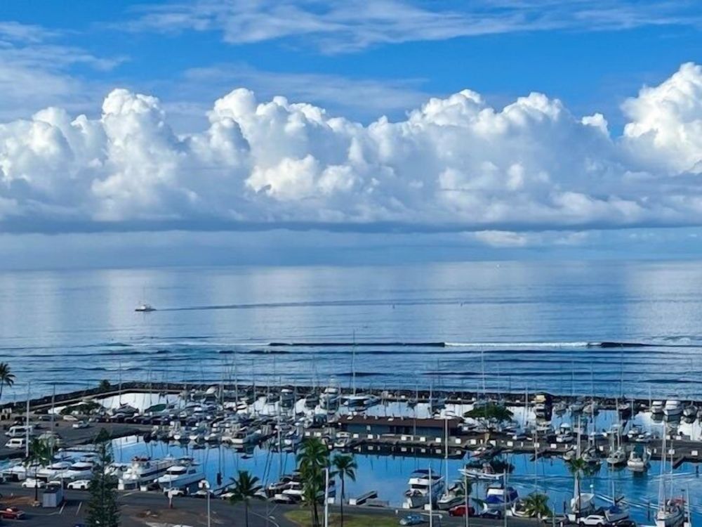 Ilikai Marina Ocean 17th Floor