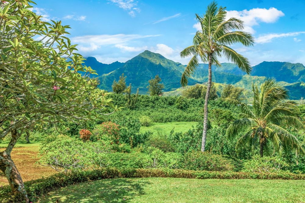 Hanalei Bay Resort Studio 8131