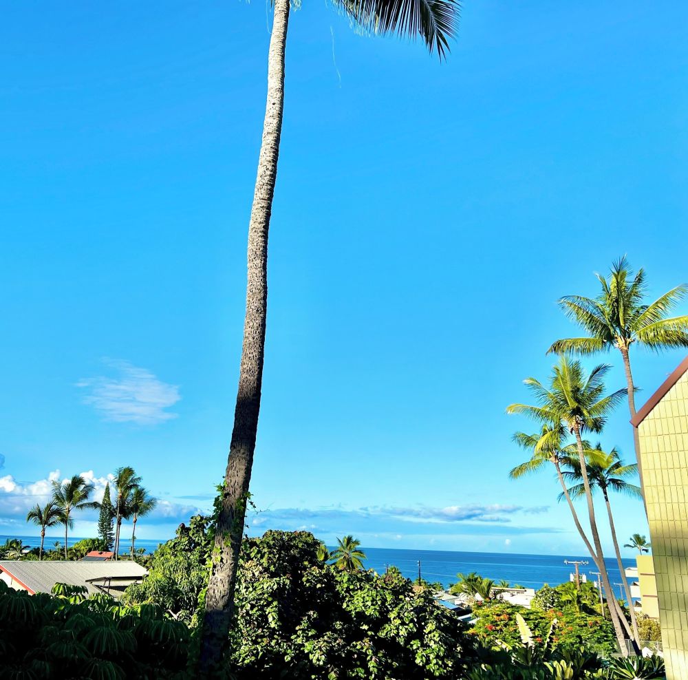 Paradise - White Sands Village