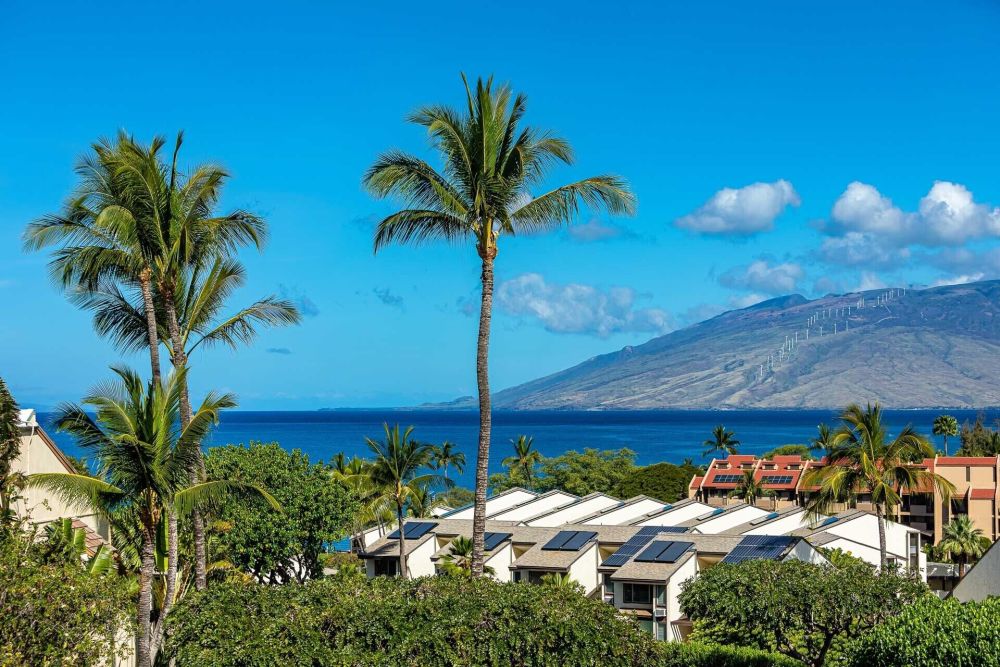 Maui Kamaole #J-211