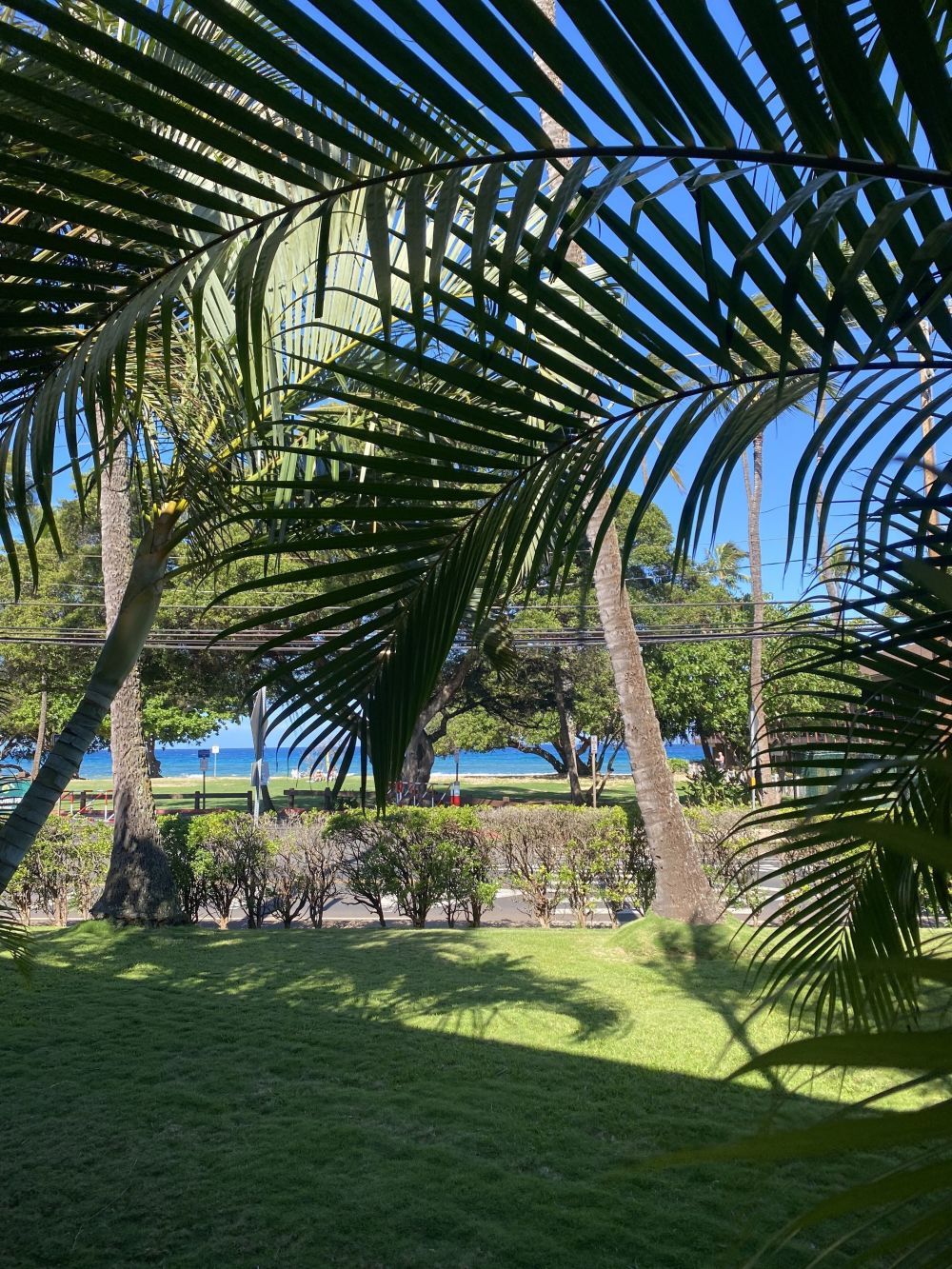 Honokowai Palms Condo Rental