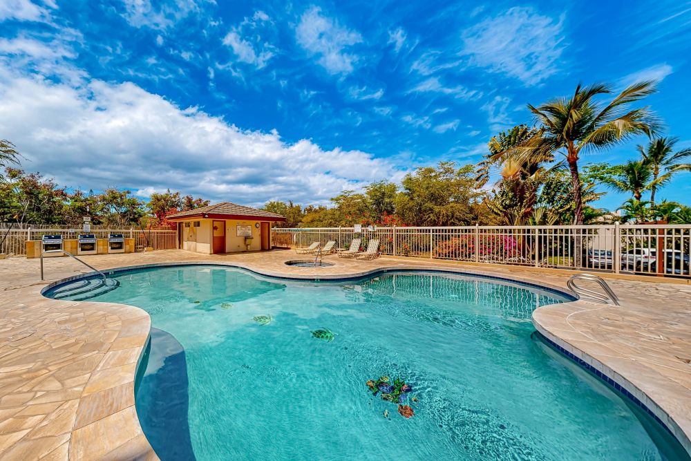 Maui Banyan P302