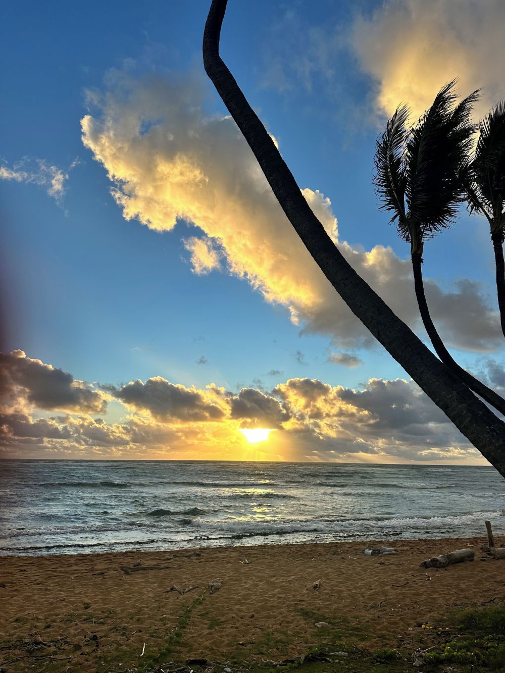 Kauai Kailani Ground Floor Unit