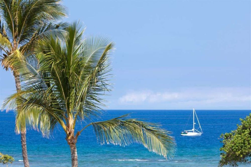 Puako Oceanview Retreat