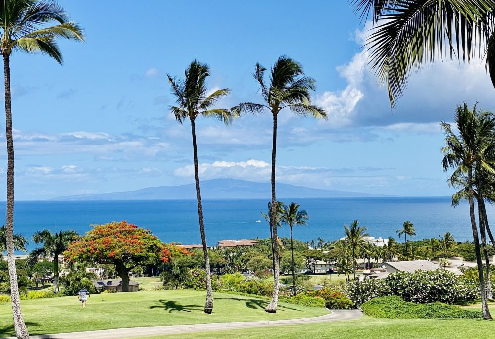 Wailea Ekolu 1508