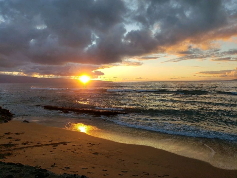 Pikake 1st Floor Beachfront Condo