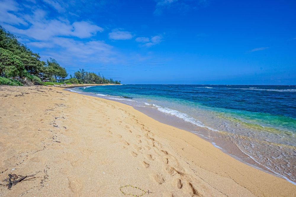 Islander on the Beach 157