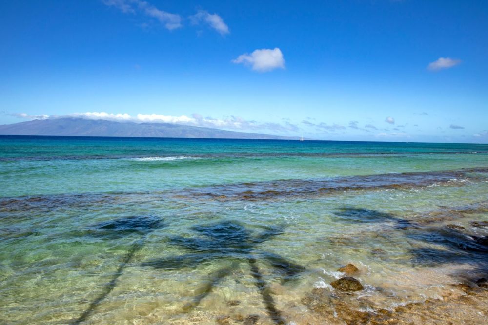 Papakea Resort PKC-404