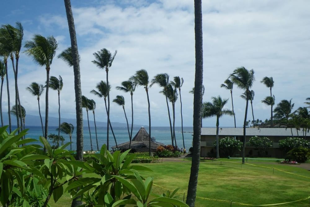 Napili Shores Resort H-167