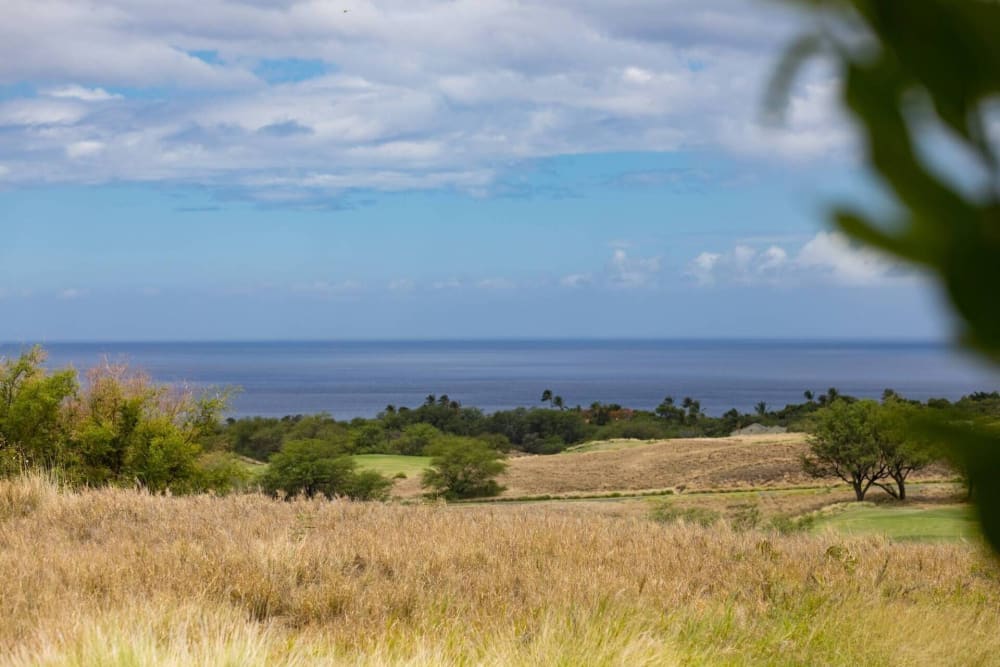 Hale Kaimana