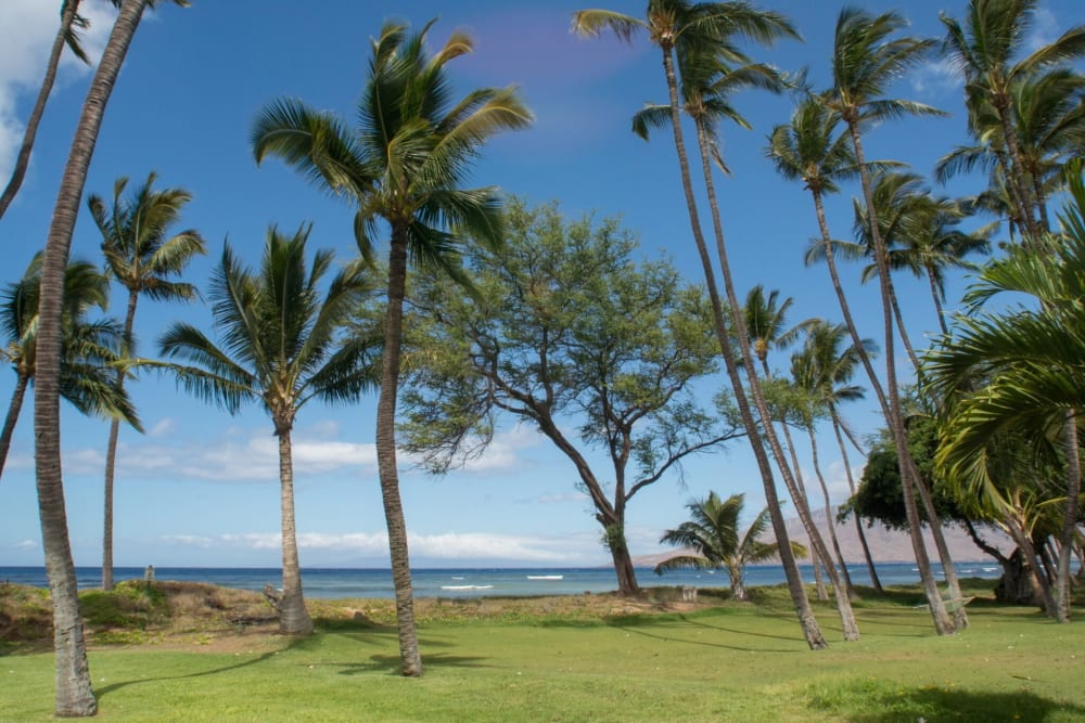 Hale Kai O'Kihei 120