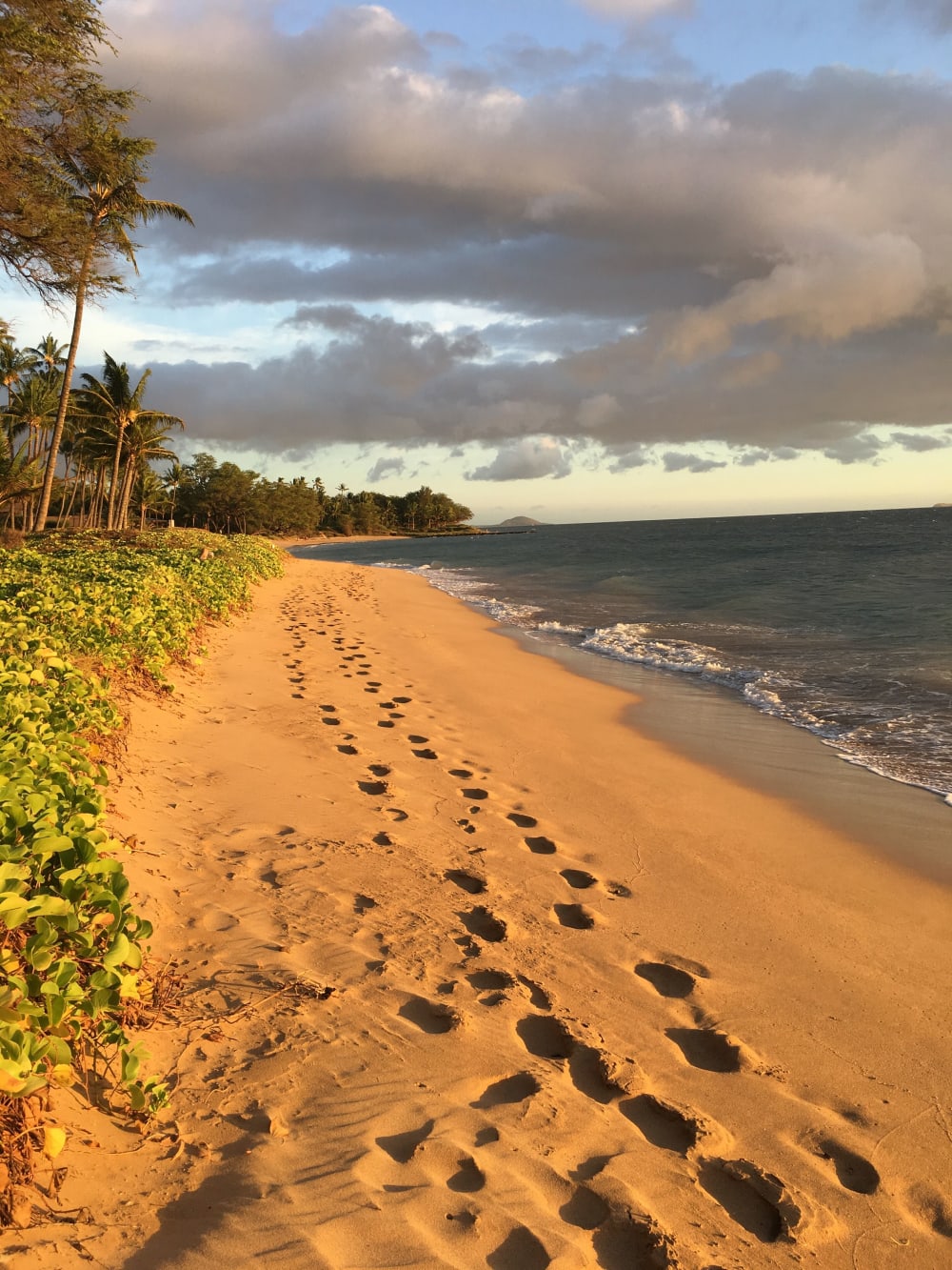 Kihei Garden Estates Condo