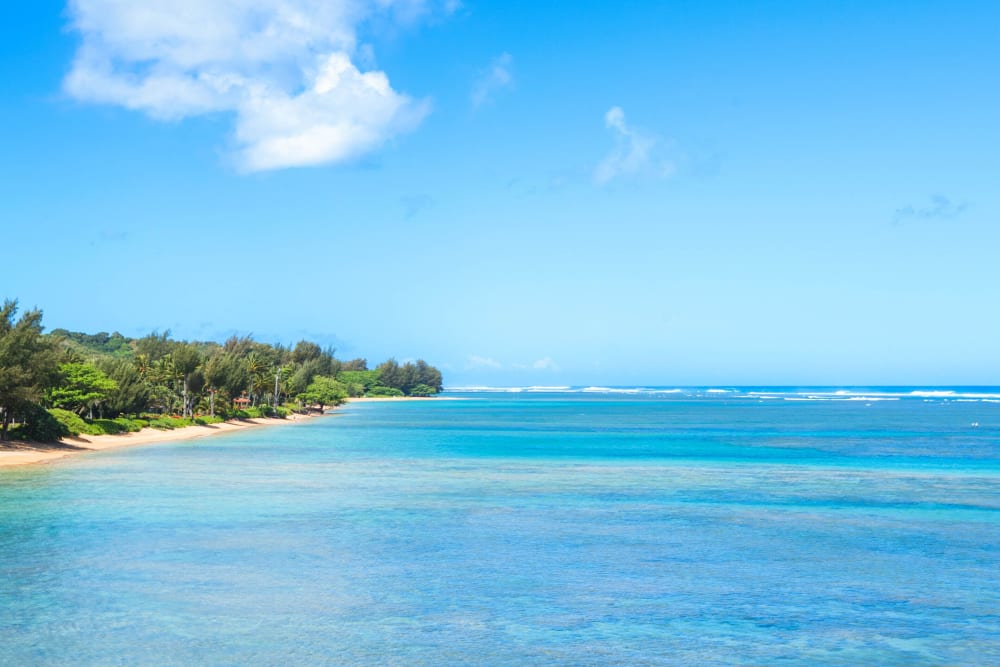 Hale La'Au Pohaku