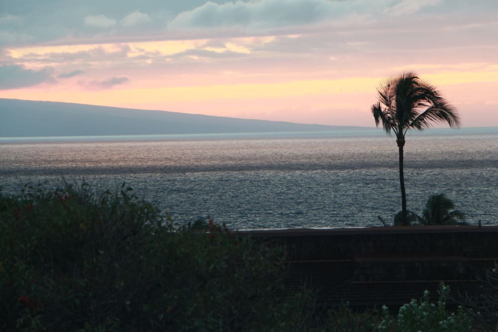 Maui Hideaway