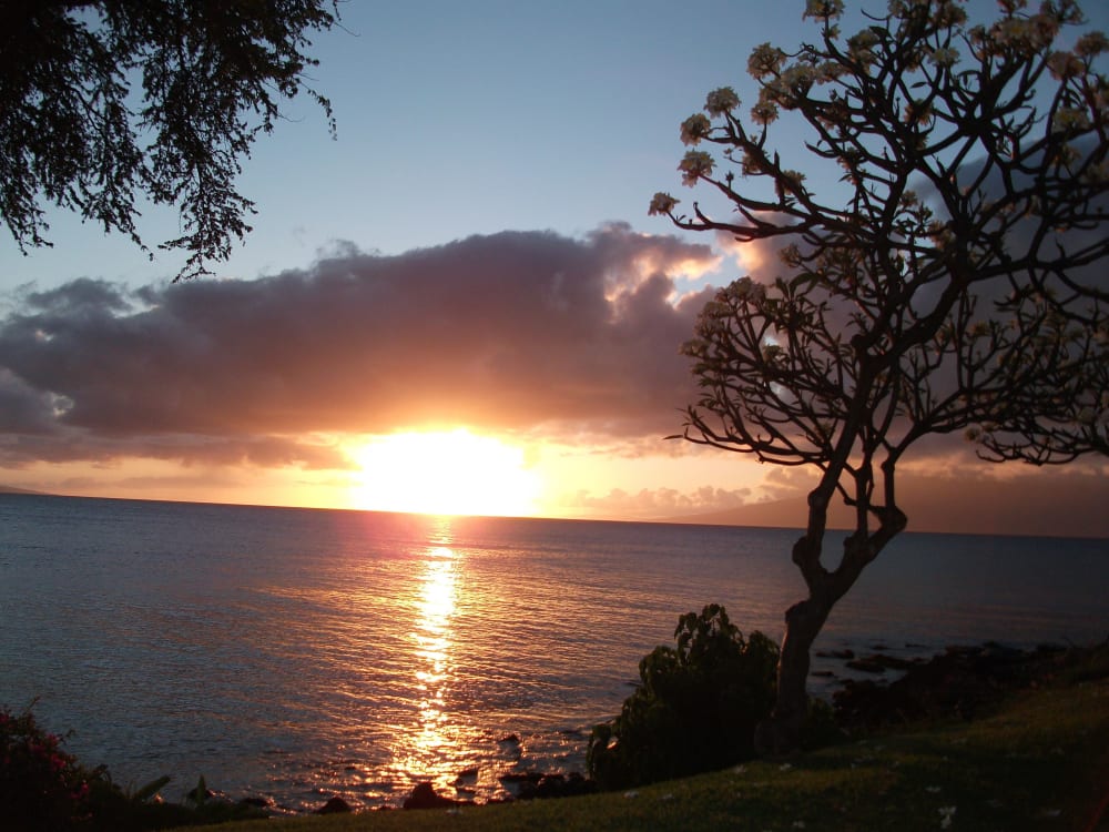 Kuleana Resort Unit