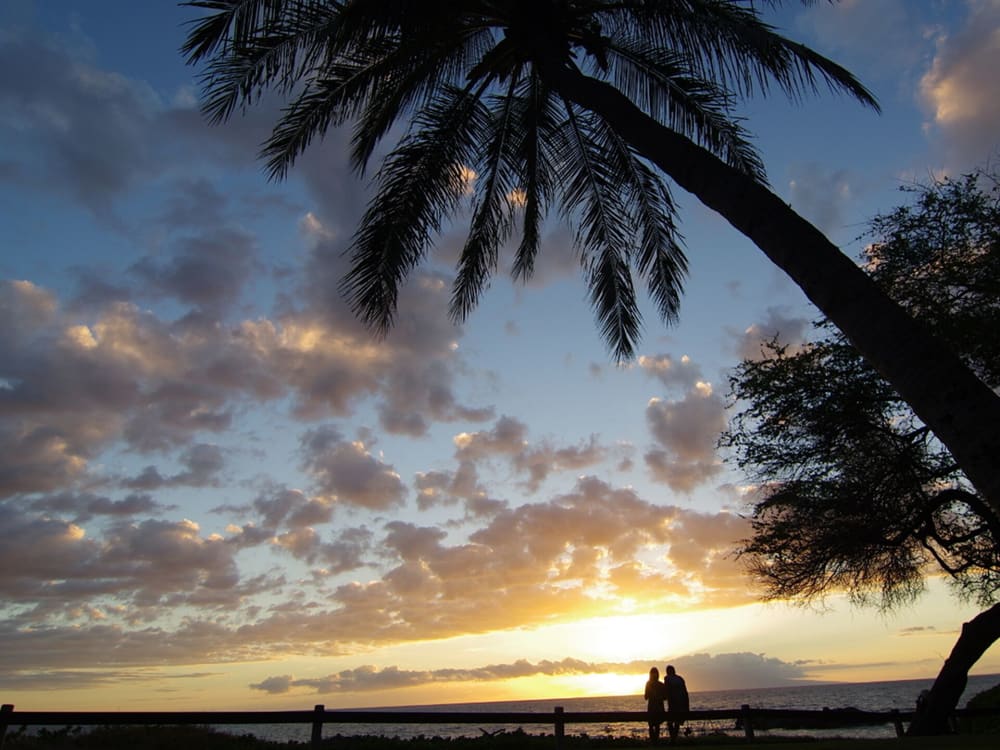 Maui Parkshore #108