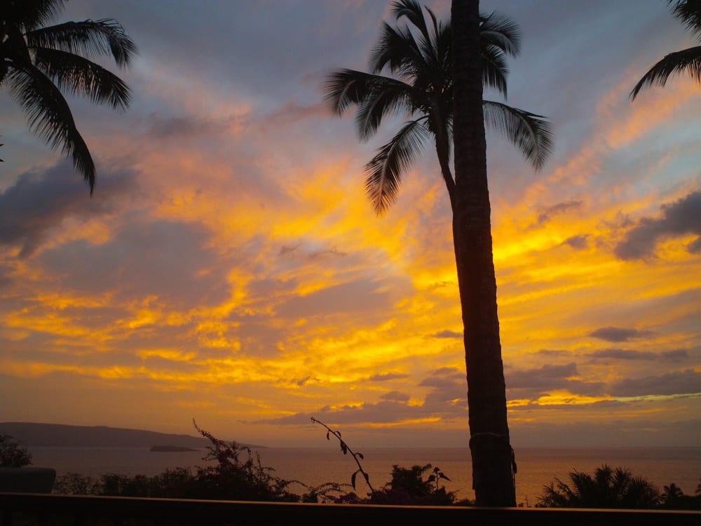 Kihei Bay Surf 242