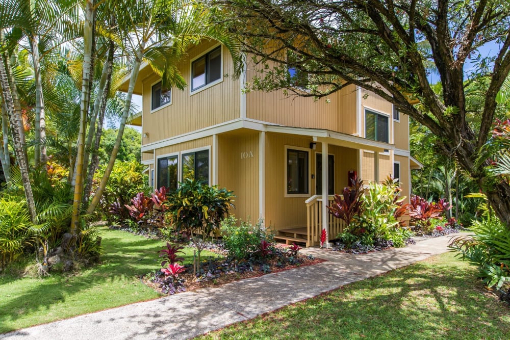 The Rainbow House