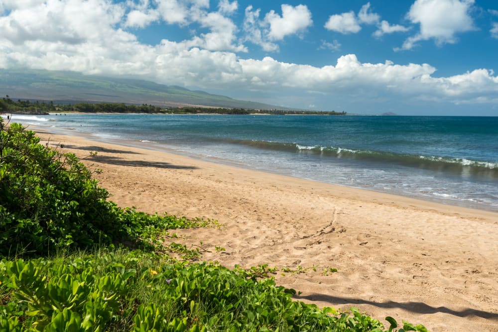 Kihei Sands A6