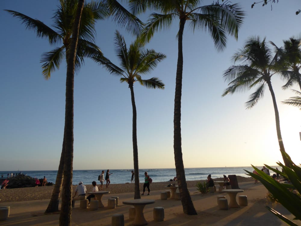 Waikiki Shore