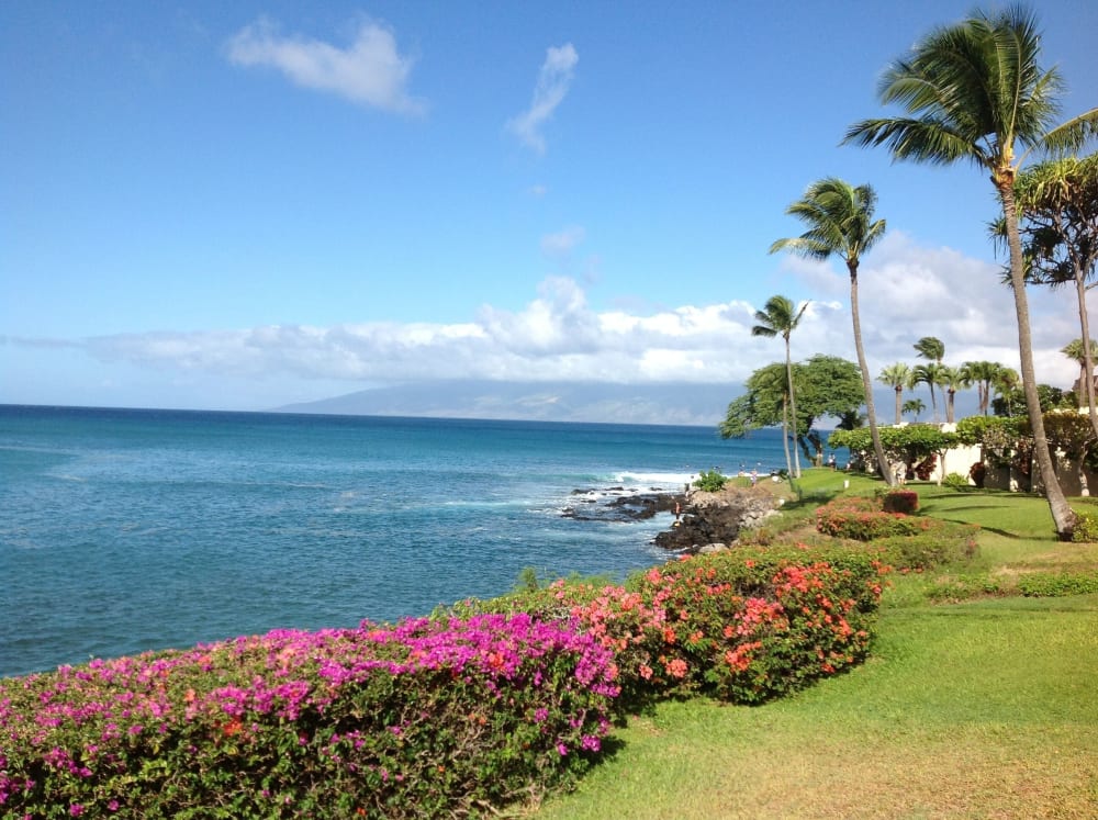 Napili Point Resort A16