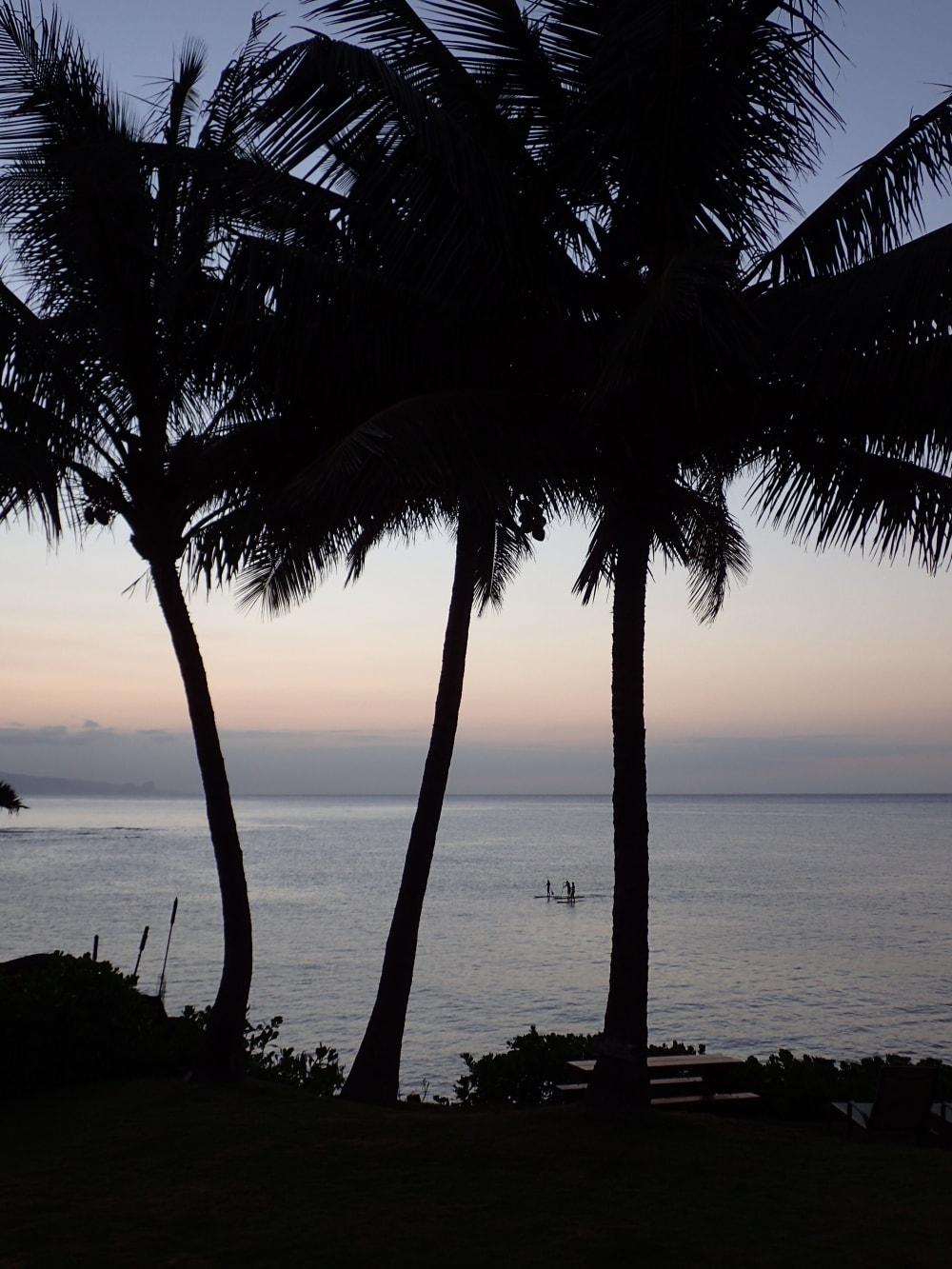 Maui by the Sea