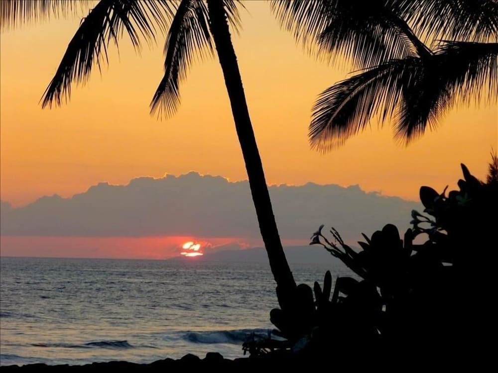 Hale Kekaha Palms Ocean View