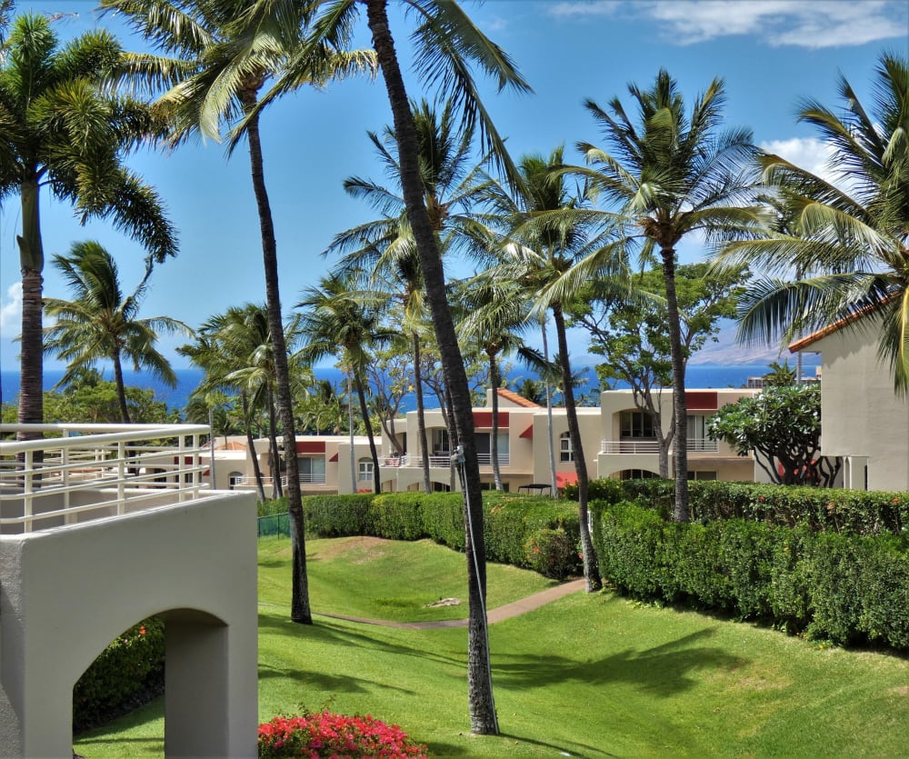 The Palms at Wailea 802