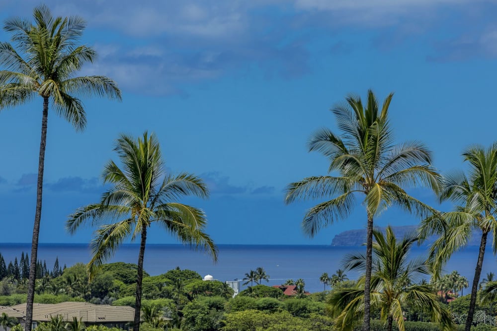 Wailea Ekolu #1207