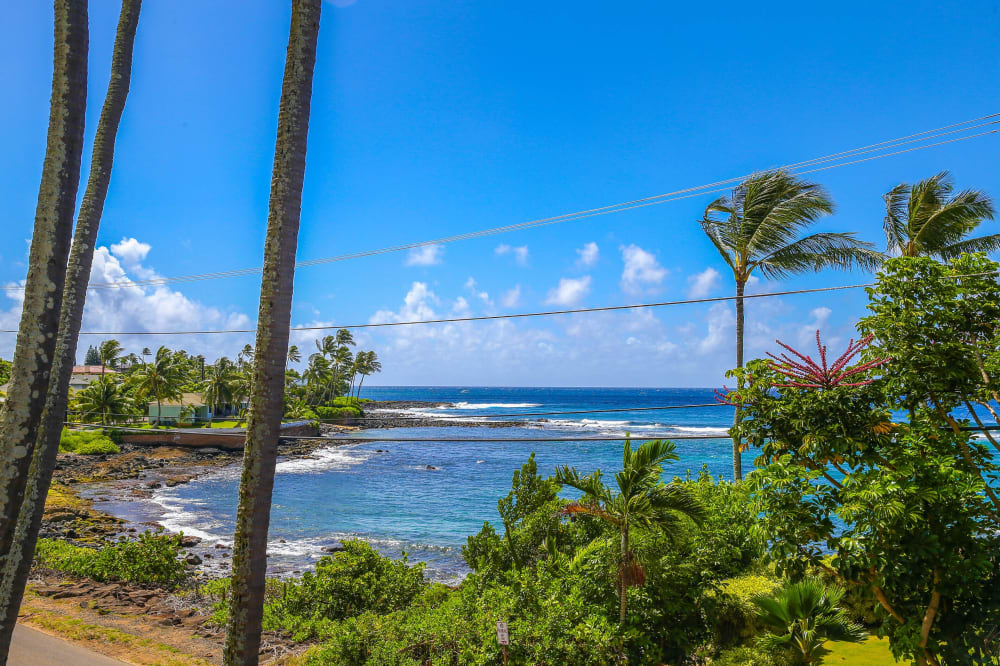 Prince Kuhio Condo Third Floor Unit