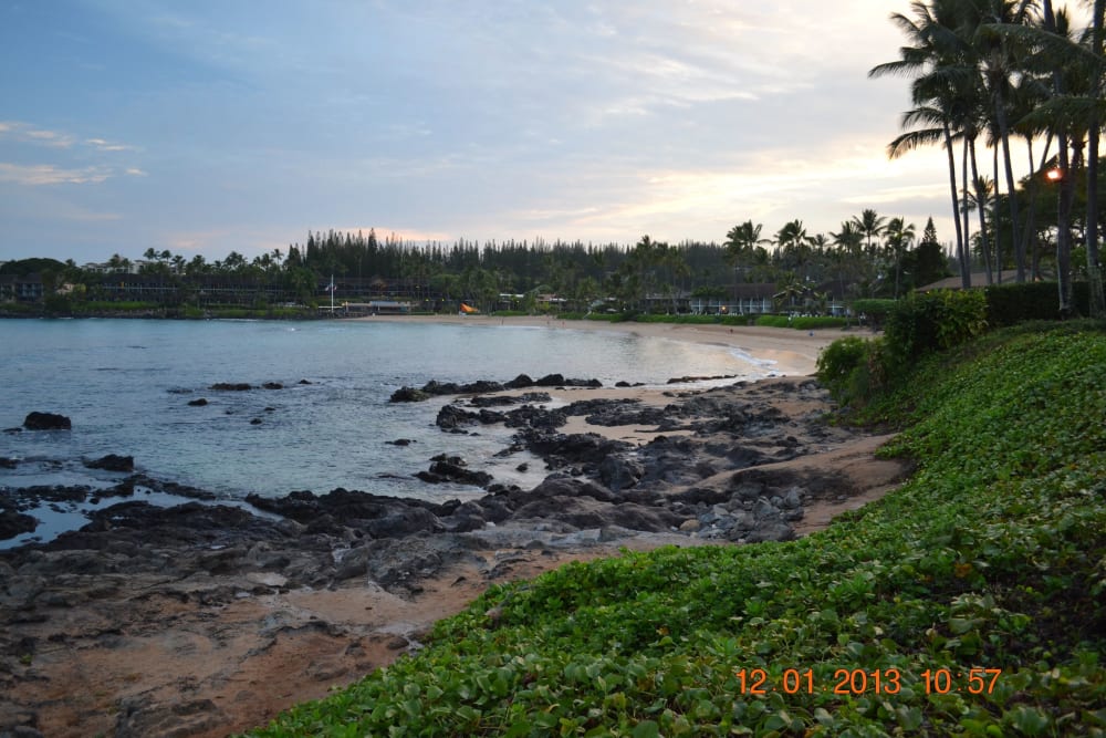 Napili Shores Condo