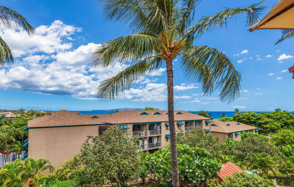 Maui Vista 2404