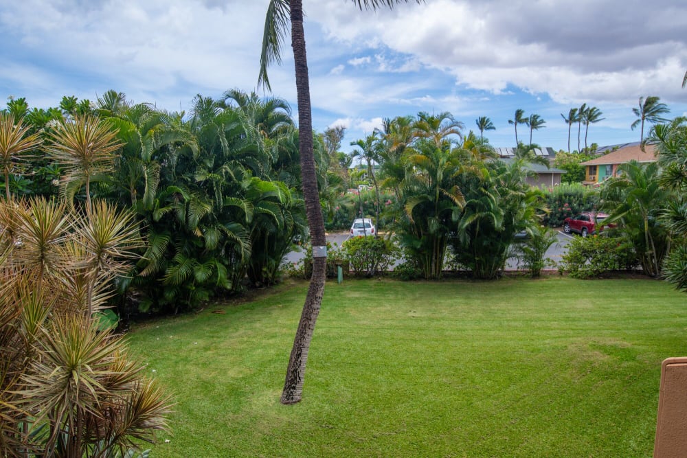 Maui Vista 1219