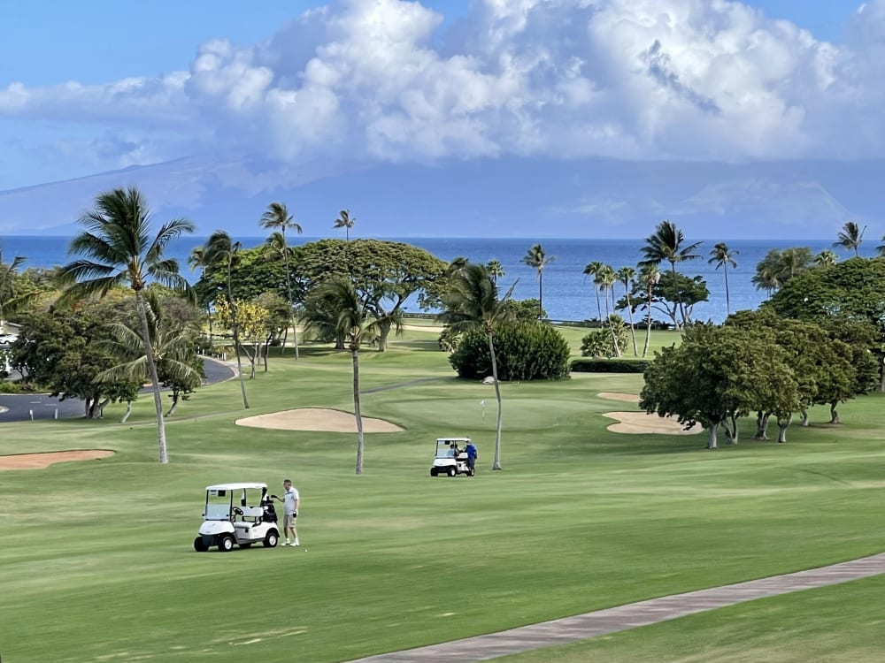 Maui Eldorado A202