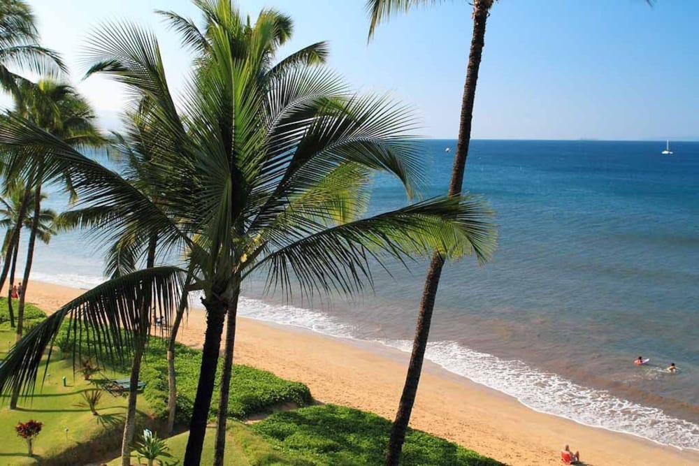 Sugar Beach Resort 519