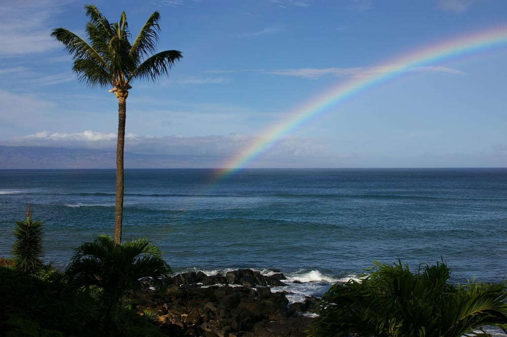 Kuleana Resort Unit 411