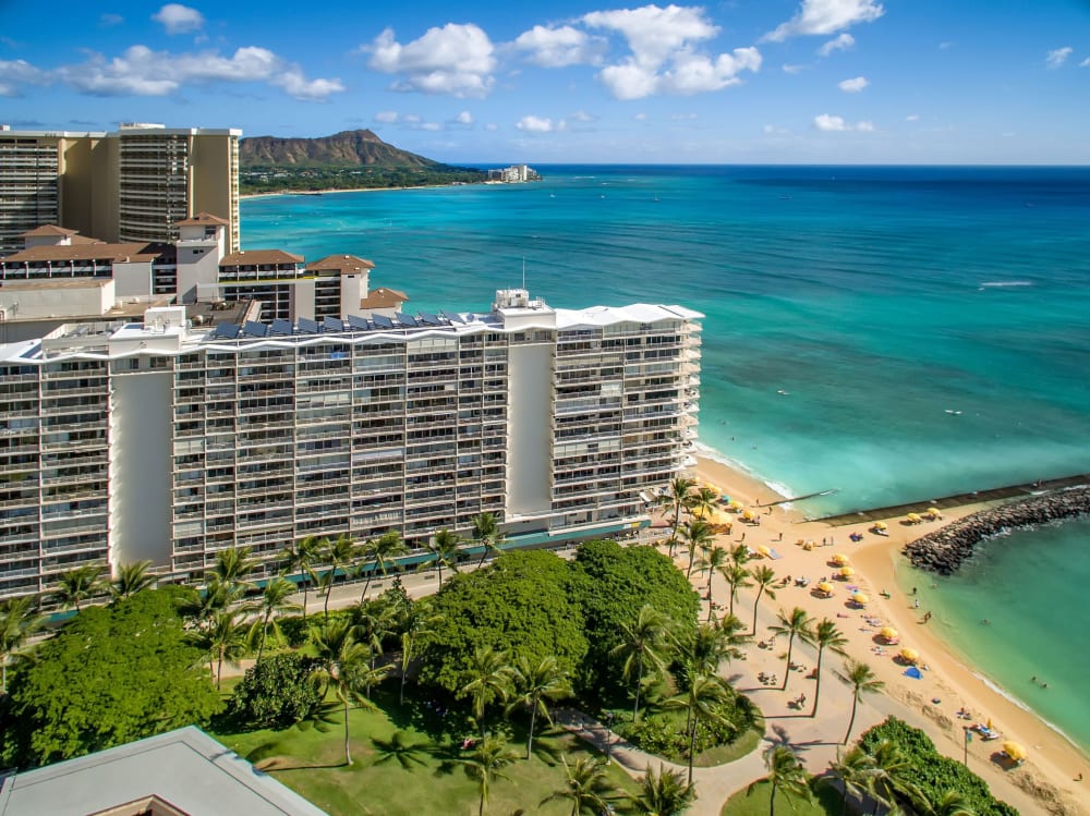 Waikiki Banyan for 2