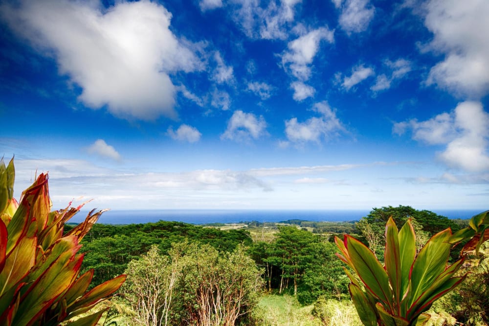 Akaka Farms Vacation Home