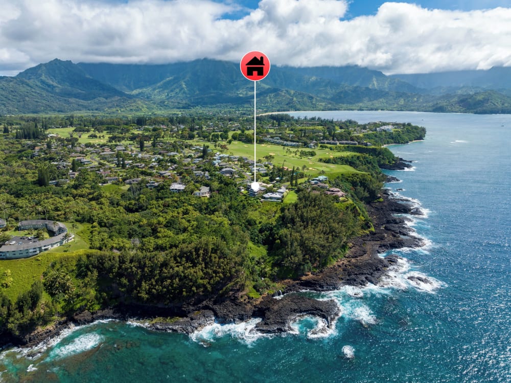 Whale Hale - Punahele Bluff