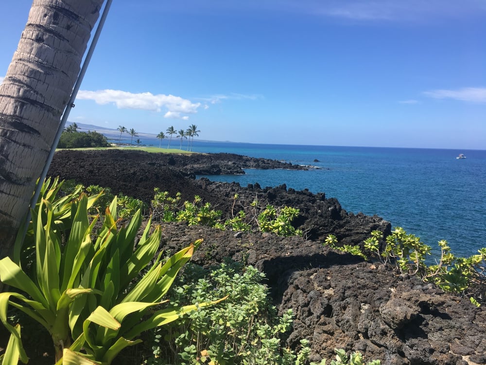 Halii Kai #9B - ground floor