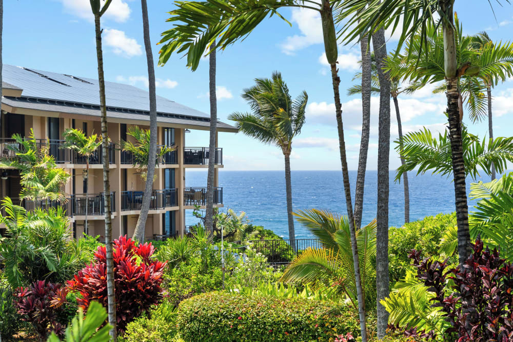 Casa De Emdeko 5-102