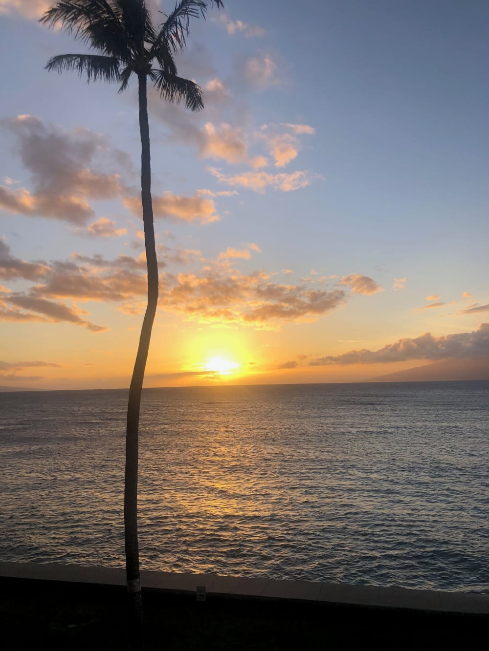 Kahana Reef Oceanfront Condo 