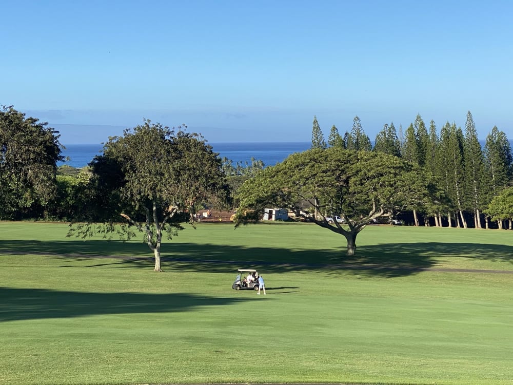 Kapalua Golf Villas Vacation Rental