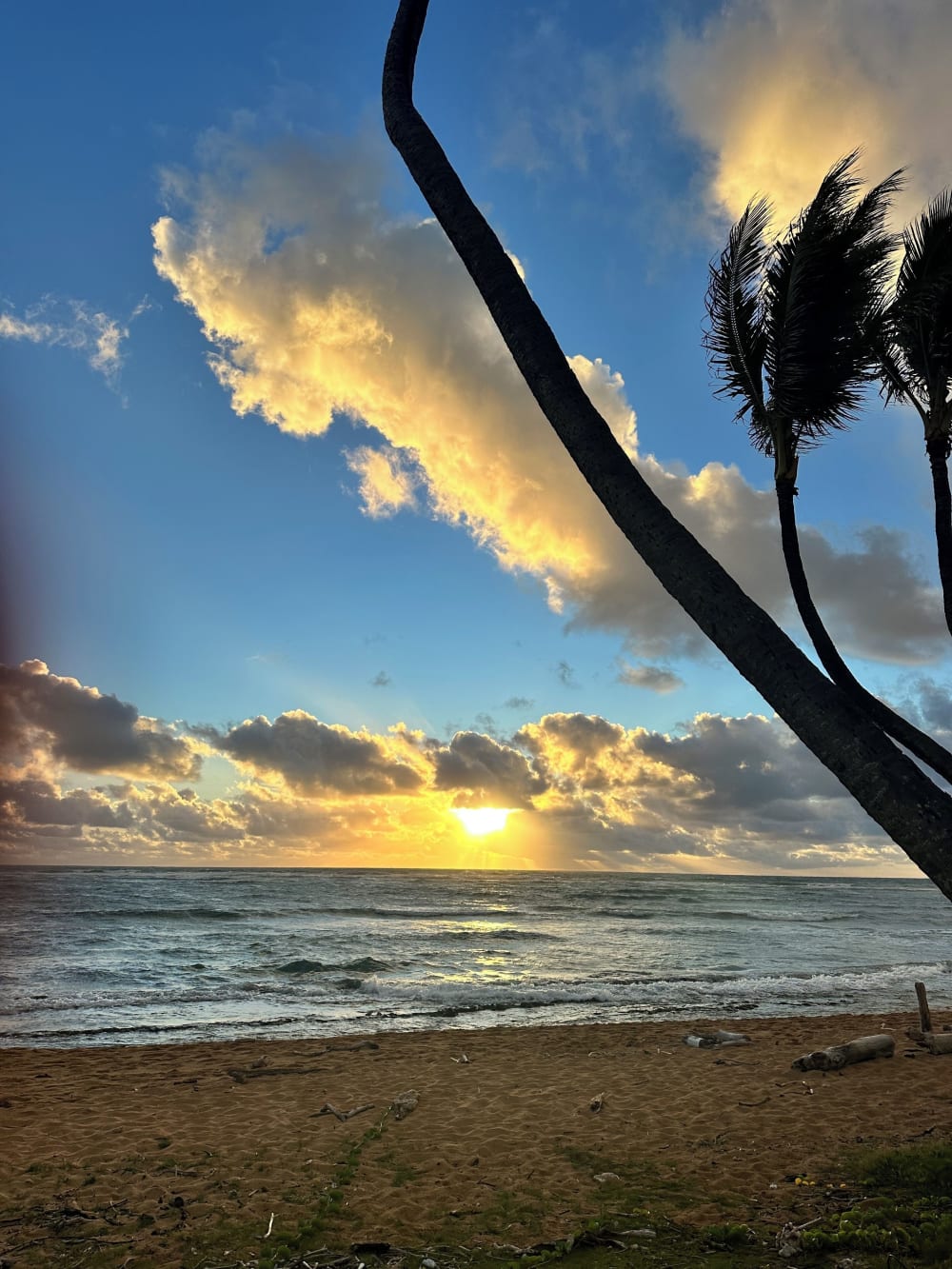 Kauai Kailani Ground Floor Unit