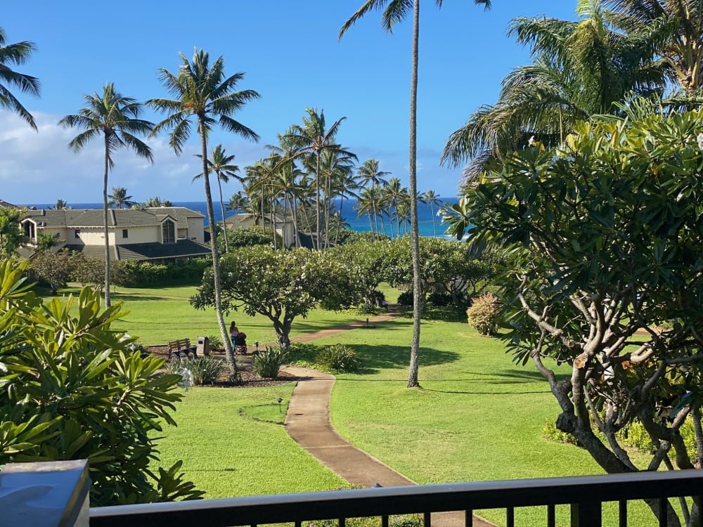 Kahala #621