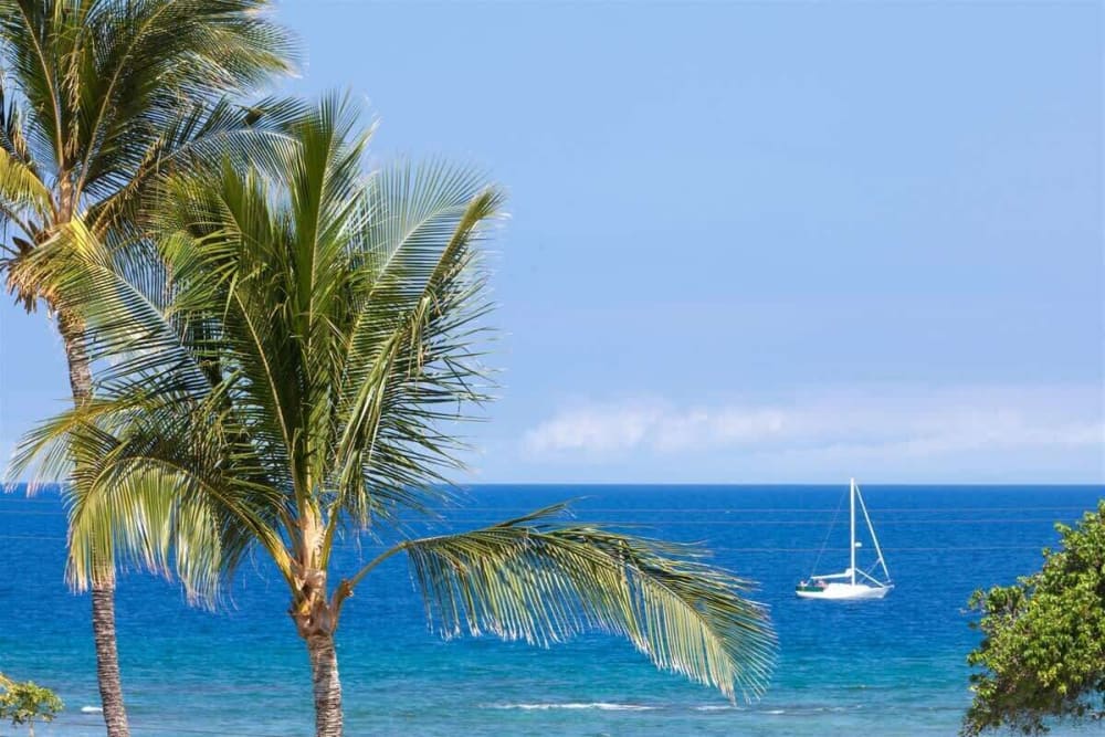 Puako Oceanview Retreat