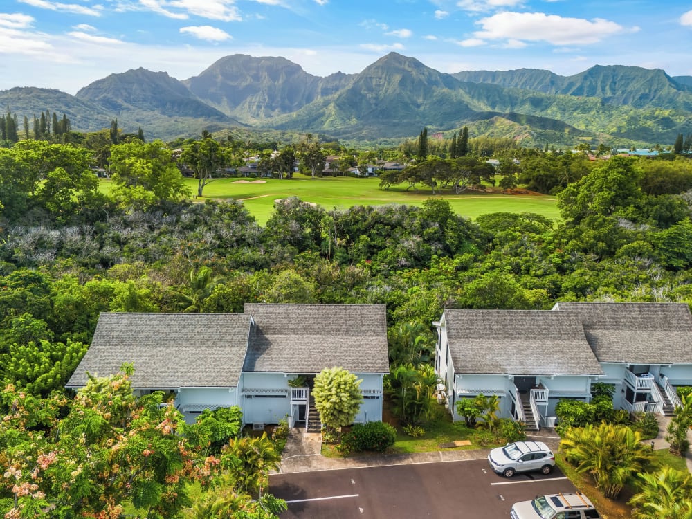 Hale Moi Studio Suite