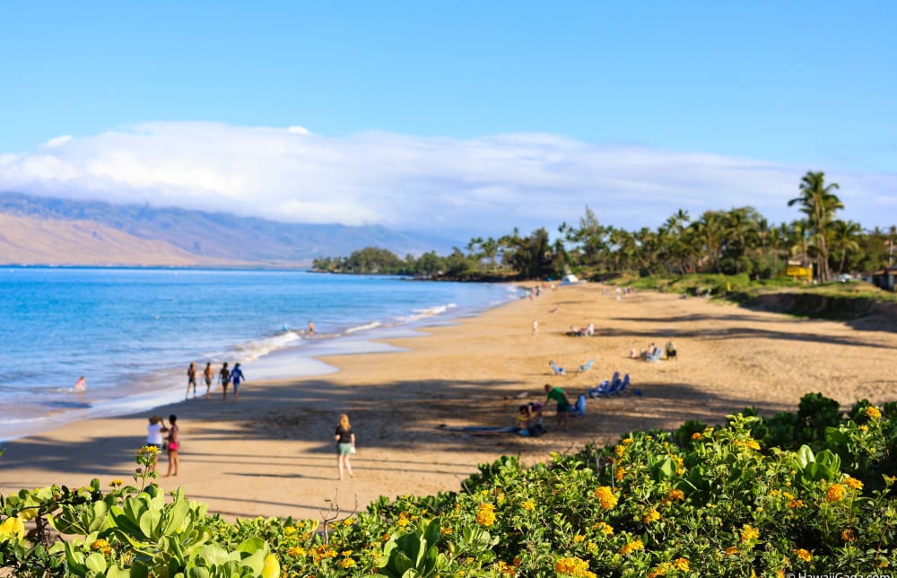 Kamaole Beach Park 1